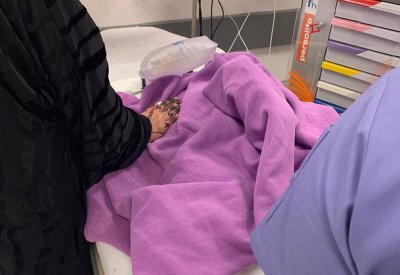 نجاة طفل من الغرق في حوض أمطار 
