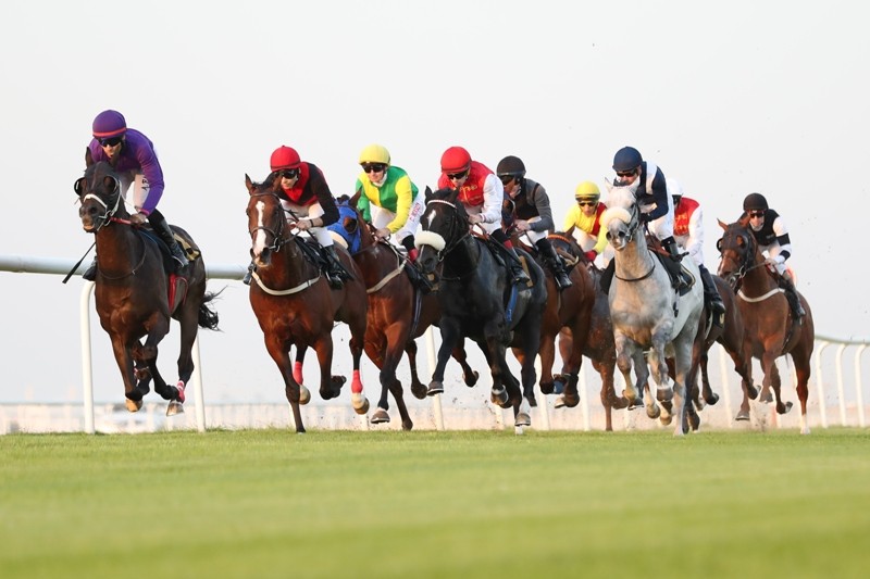 السباق العاشر لموسم الخيل                