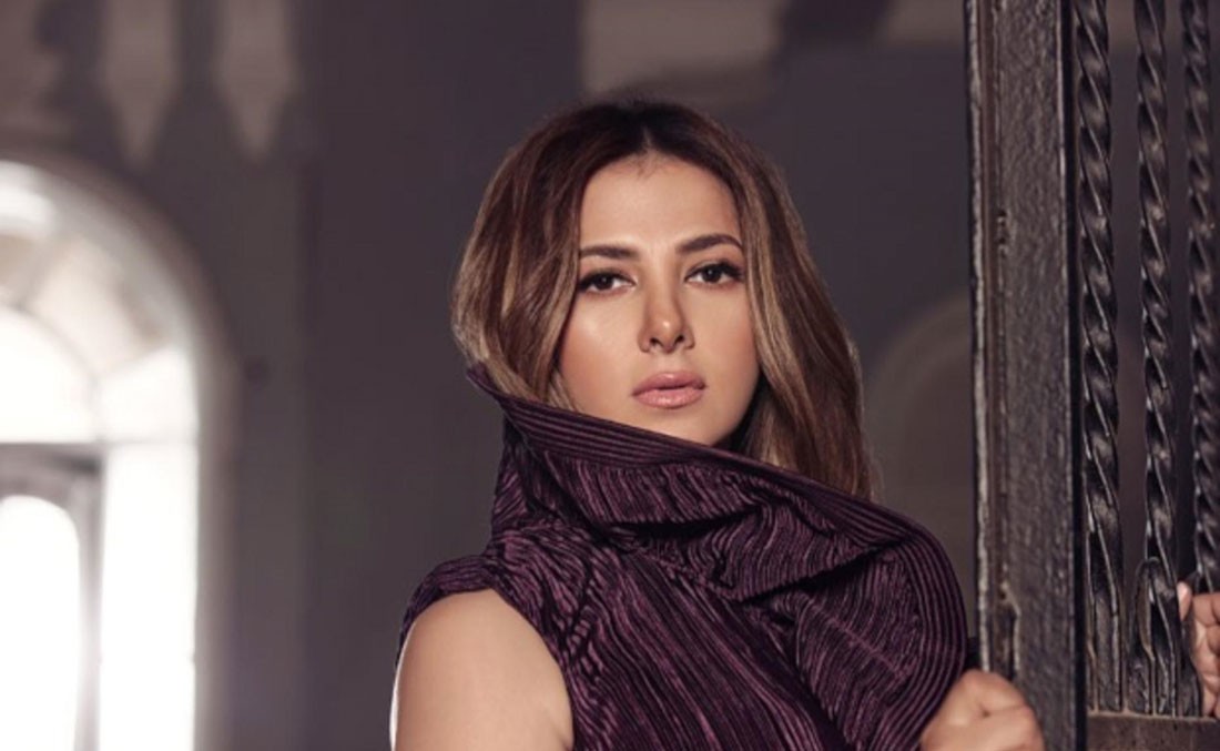 دنيا سمير غانم تغيب عن دراما رمضان