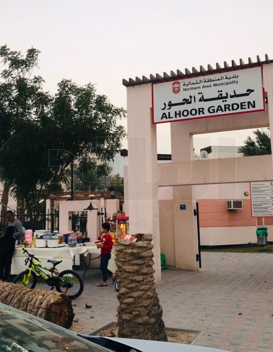 بالفيديو: نجاة طفل جراء سقوط نخلة بحديقة في عالي.. والأب يقدم بلاغًا ضد البلديات