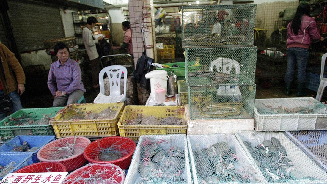  لماذا أصبحت الصين مصدر الأوبئة الجديدة في العالم؟ 
