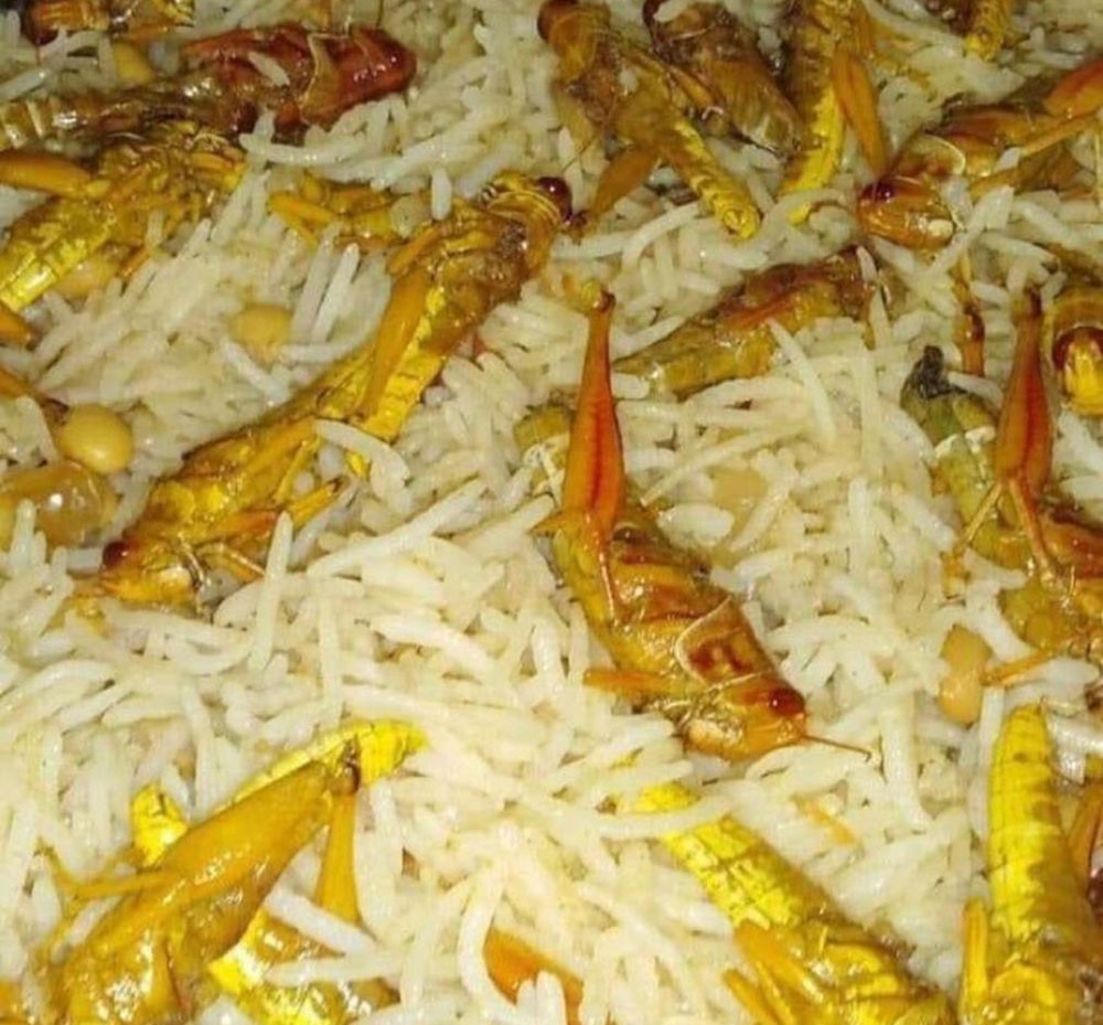 هاش تاق "#الجراد" ترند اليوم في البحرين
