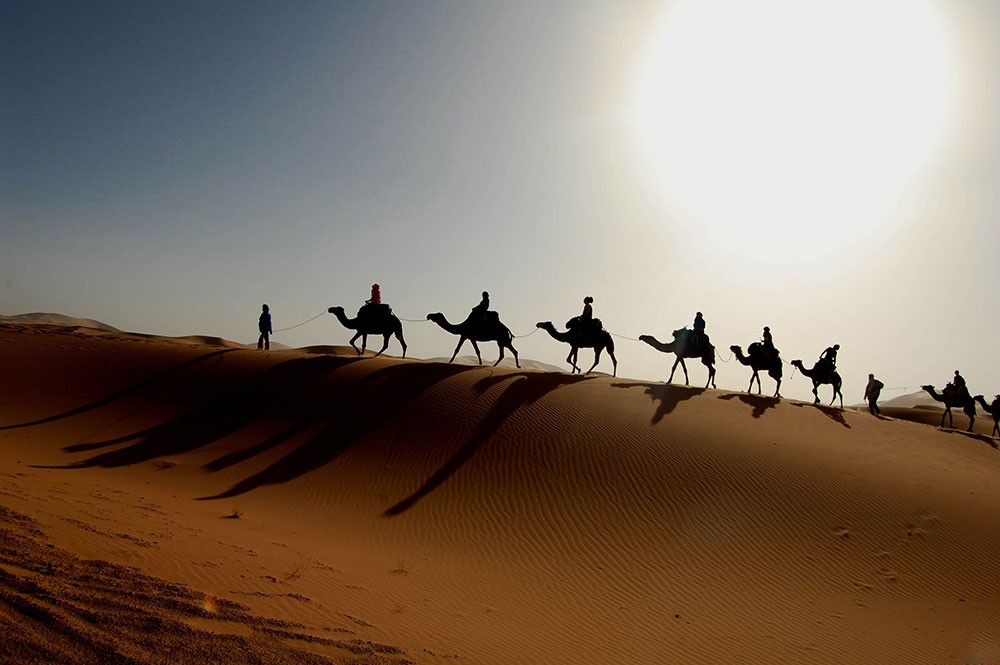 "العربية للسياحة" تدعو العالم العربي للاحتفال بيوم السياحة العربي بــ25 فبراير 