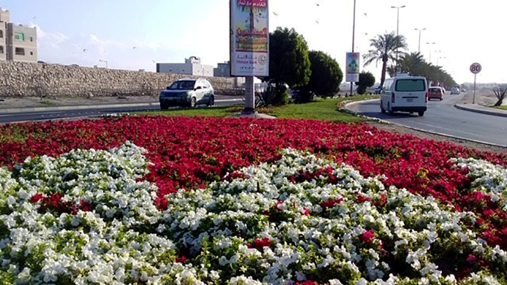 بلدية الشمالية تزرع ربع مليون زهرة موسمية ضمن خطتها التجميلية للشوارع