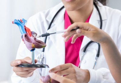 قلوب الرجال والنساء مختلفة عن بعضها.. في حركة تدفق الدم