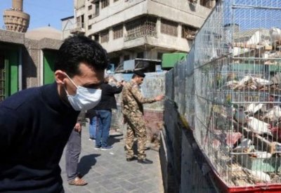 إيران تحت وطأة كورونا.. 237 وفاة وأكثر من 7 آلاف إصابة