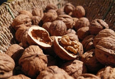 فوائد الجوز على صحة القلب قد تبدأ بالقناة الهضمية
