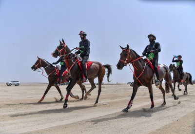 ناصر بن حمد يوجه الاتحاد الملكي بإلغاء بطولة سموه للقدرة