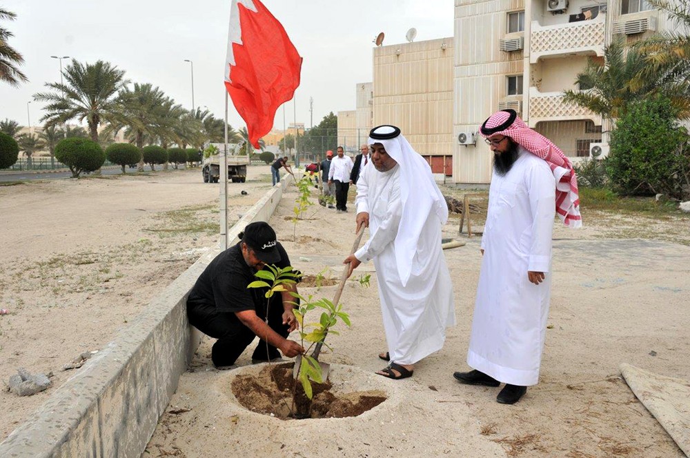 زراعة 300 شجرة مظللة في "إسكان البسيتين"