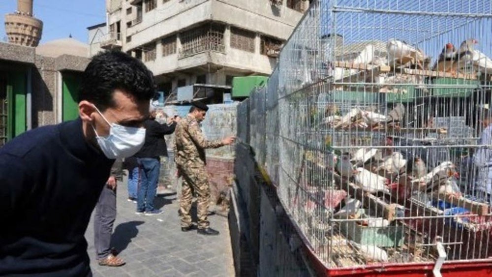 إيران تحت وطأة كورونا.. 237 وفاة وأكثر من 7 آلاف إصابة