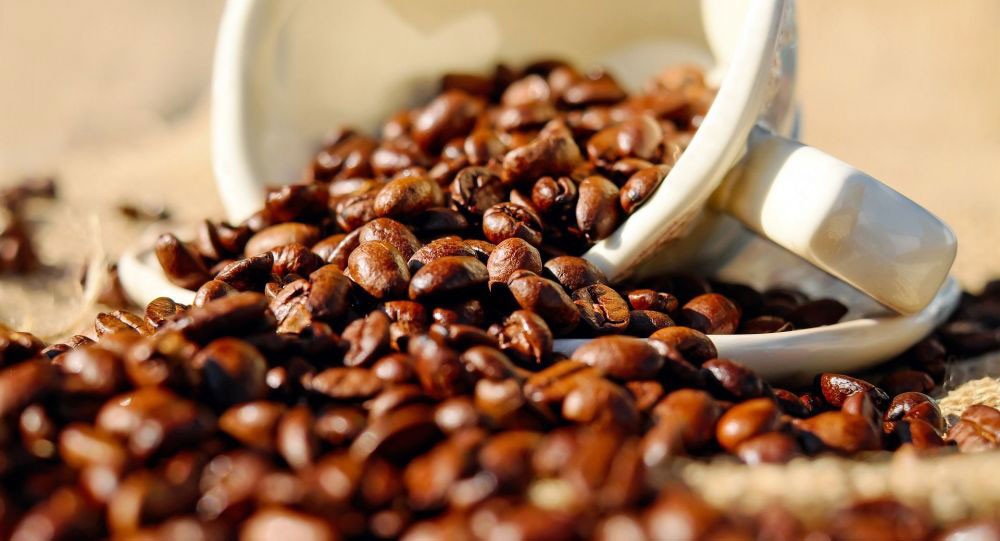 هل تتخيل حياتك بلا قهوة...البن العربي في خطر
