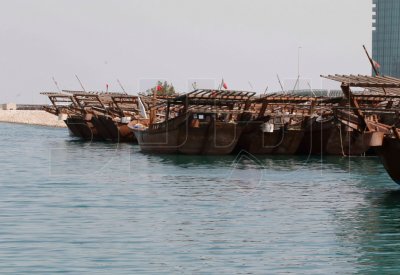 بالصور: خشب الأشجار... يثمر في البحار