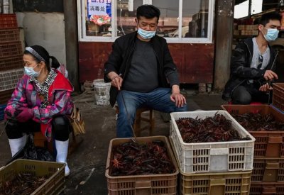 الصين مستاءة: لا دليل على خروج كورونا من مختبر بووهان