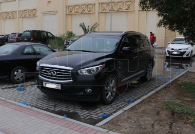 بالصور: القفازات المرمية على الأرض.. ضفادع تنقل كورونا!