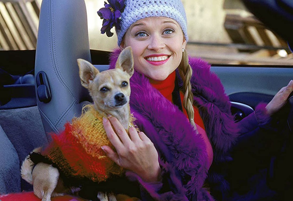 بدء العمل على جزء ثالث من سلسلة Legally Blonde