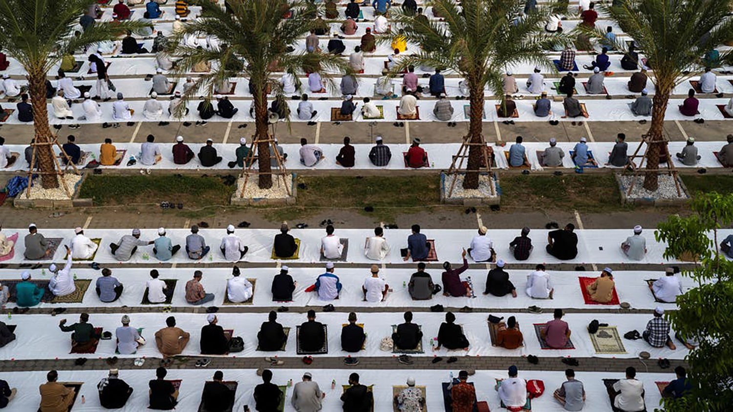الصحة العالمية: خبر سار ونصائح لعيد آمن بعيدا عن الوباء