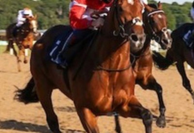 ناصر بن حمد يشيد بفوز الجواد فليريين ستيل بسباق بريطانيا للخيل