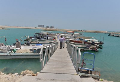 "الثروة البحرية": رصد مخالفات بمرفأ قلالي وتحويل مرتكبيها للنيابة العامة