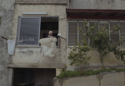 عروض أفلام الشارقة للفنون