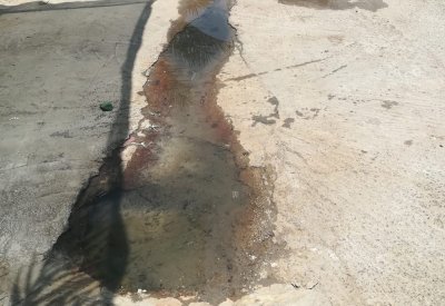 بالصور: سكان 1032 بالمالكية: 20 عاما ولم تمدِّد "الأشغال" مجاري للمجمع