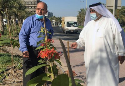 "الجودر": تكثيف أشجار الظل والنباتات الصديقة للبيئة