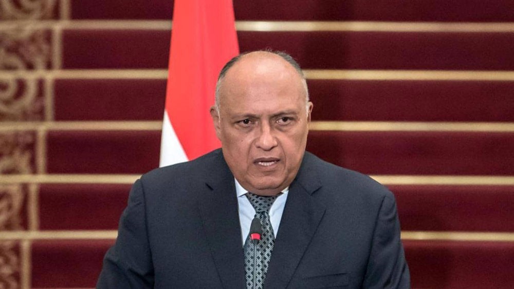 شكري: نشر ميليشيات تركيا في ليبيا يهدد أمن مصر القومي
