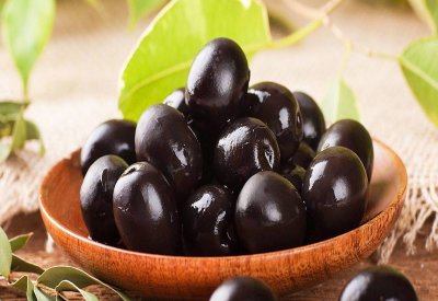 الزيتون الأسود لعلاج “الأنيميا”