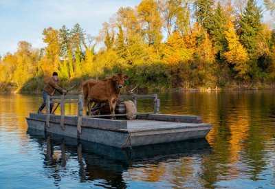 قريبا طرح فيلم “First Cow”