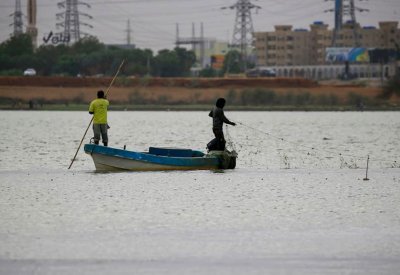 وزير مصري: مواشي إثيوبيا تستهلك ماء أكثر منا والسودان