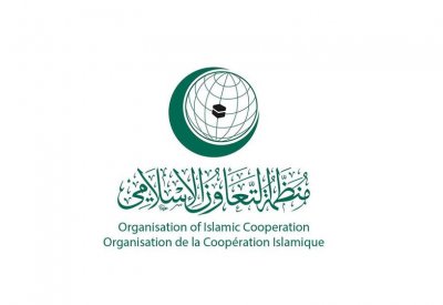 التعاون الإسلامي تشيد بنجاح السعودية بتحقيق التباعد الاجتماعي بين الحجاج