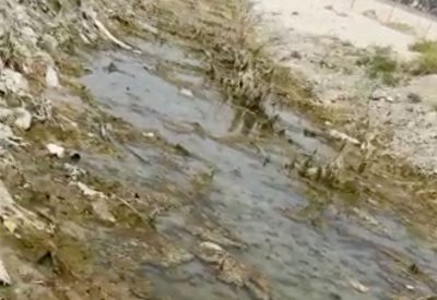 بالفيديو: تفريغ مياة الصرف الصحي المكشوفة  بالنهر الأسود