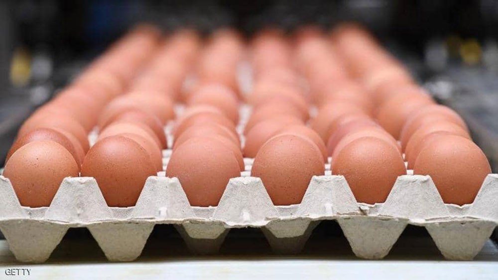 منتجو البيض في المغرب يخسرون 36 مليون دولار بسبب كورونا 