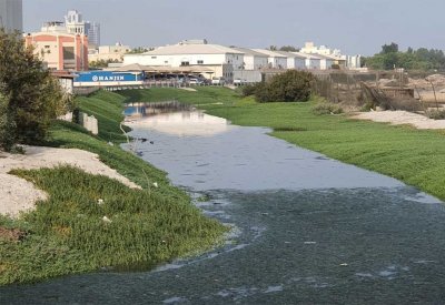 بالصور: "تجاعيد الزمن" الجميل لا تفارق توبلي