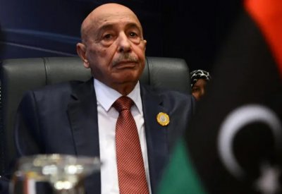 عقيلة صالح يلتقي سفير واشنطن بليبيا خلال زيارته للقاهرة