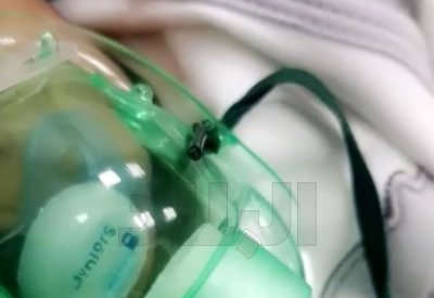 بالصور: مواطنة: كدت أفقد "ولدي" بسبب حرائق الشقة