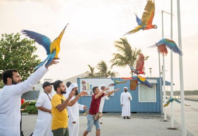سياحة عجمان تستضيف عرضا حيا للطيور الناطقة في محمية الزوراء الطبيعية