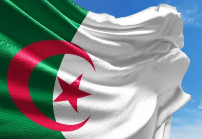 الجزائر تعلن الأول من نوفمبر موعداً للاستفتاء على مشروع الدستور