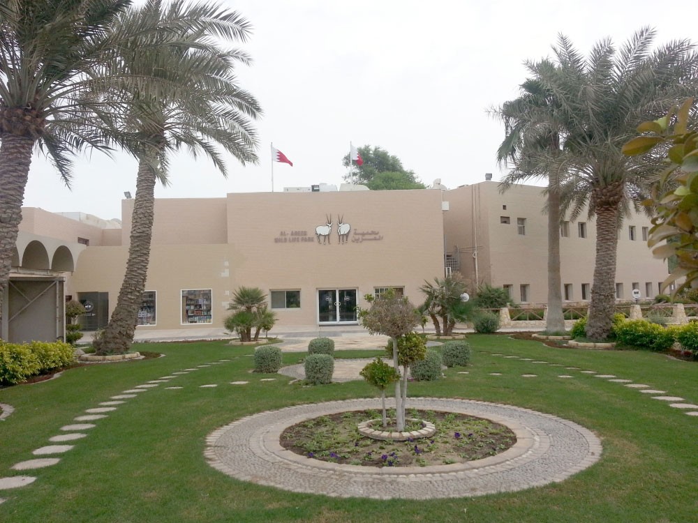 212.6 ألف دينار لتوريد لحوم ودجاج وبرسيم لمحمية العرين
