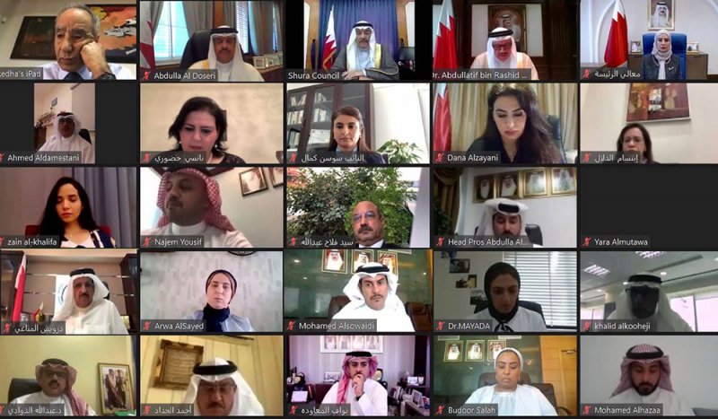 وزارة الخارجية تنظم ورشة عمل بعنوان "دور السلطة التشريعية في حماية وتعزيز حقوق الإنسان"