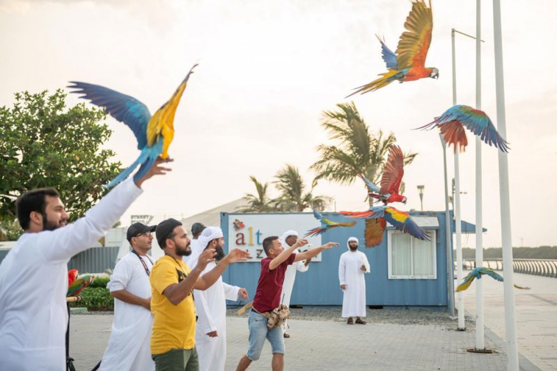 سياحة عجمان تستضيف عرضا حيا للطيور الناطقة في محمية الزوراء الطبيعية