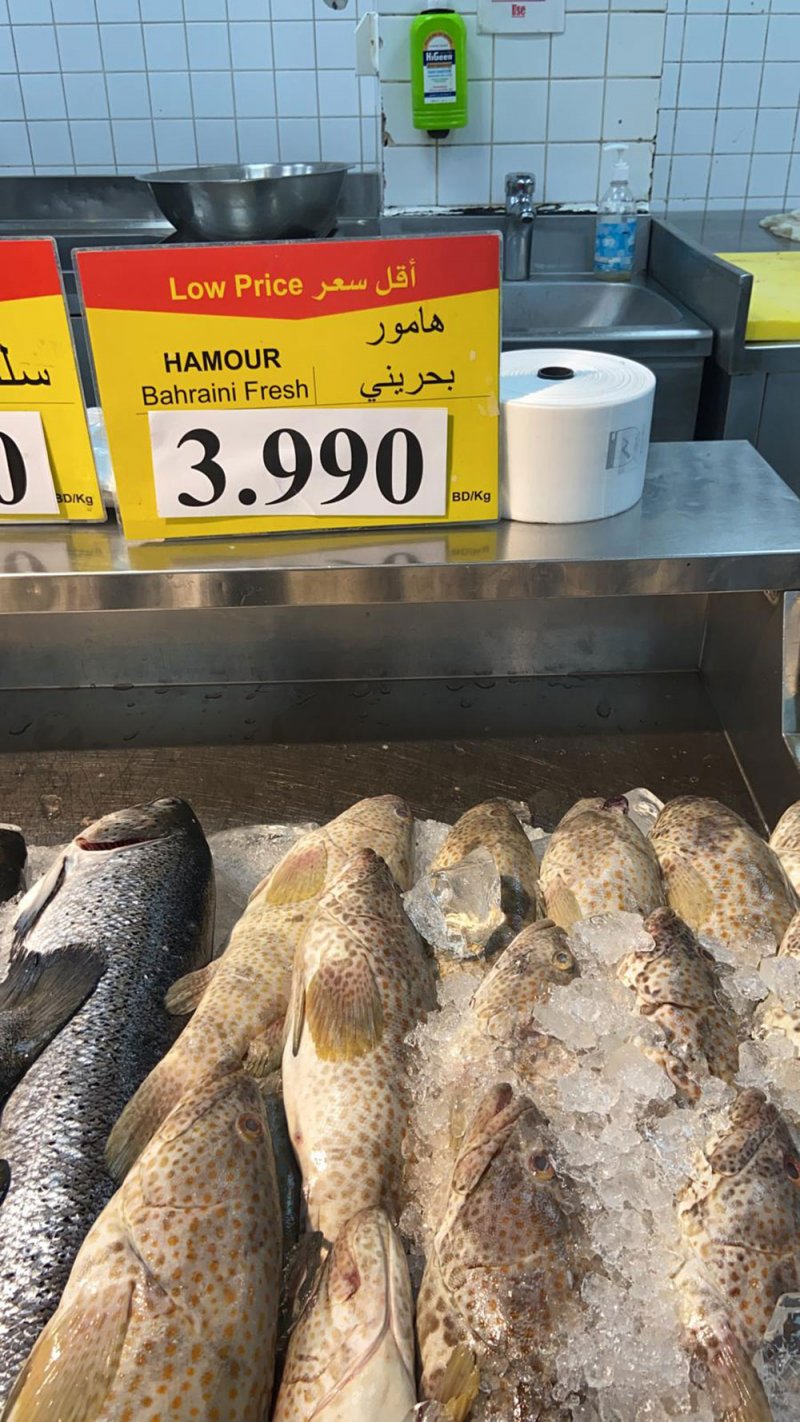 بالصورة: الهامور البحريني على خطى الدولار الأميركي!