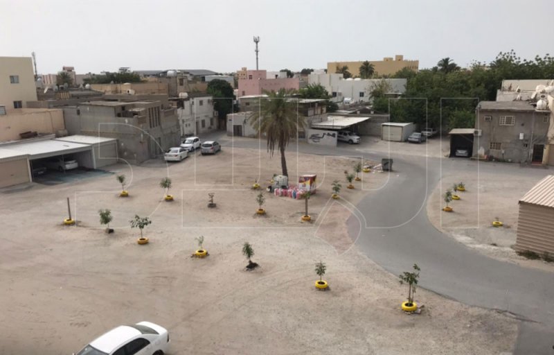 إعادة الروح إلى "بمبرة الدراز" والقاحلة تخضر