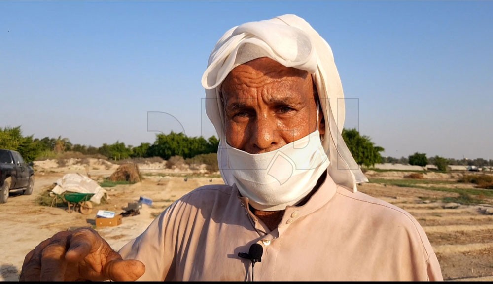المزارع عبدالنبي منصور