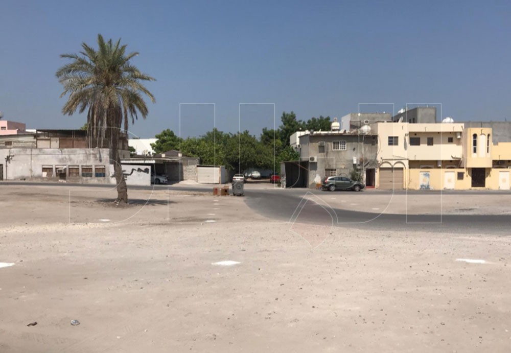  المنطقة قبل التشجير