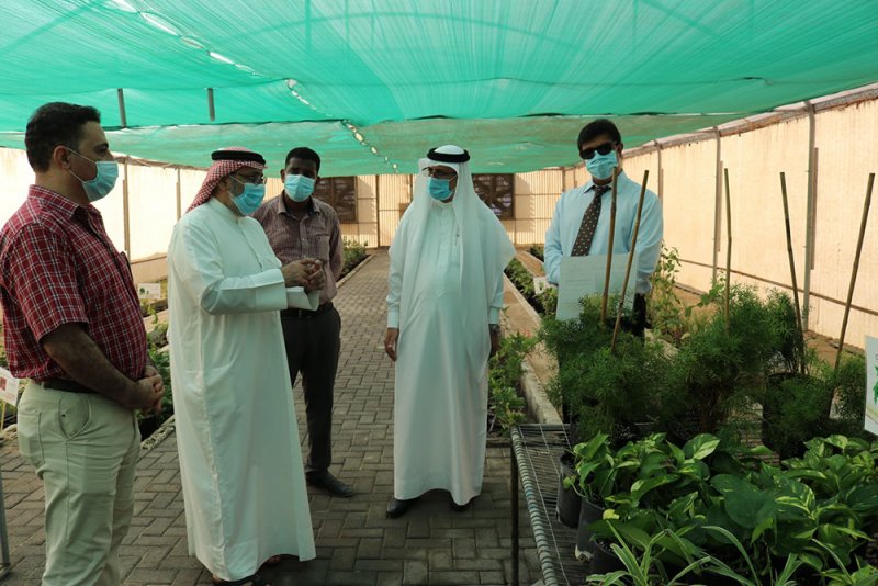 أبوالفتح: نسعى لإنتاج 135 نوعاً نباتياً في "الحاضنات الزراعية"