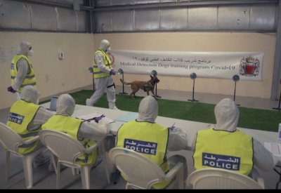 بالصور: البحرين تستخدام الكلاب البوليسية بالمنافذ للكشف عن الحالات المصابة بكورونا