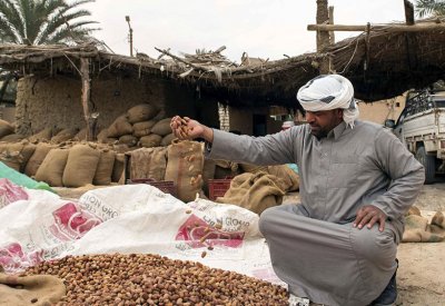"ليست للبيع".. سر تمور "لا تقدر بثمن" في واحة سيوة المصرية