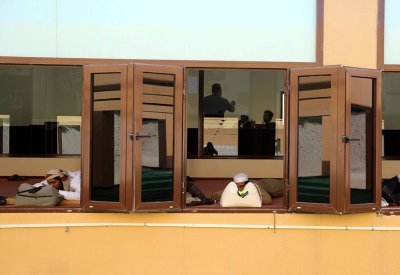 مهرجان الظفرة  بدورته 14 يعلن عن دليل المزاينات والمسابقات التراثية   