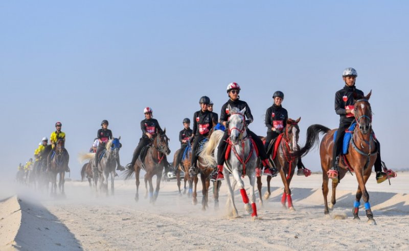 انطلاق سباقي 80 و100 كم في قرية القدرة غدا
