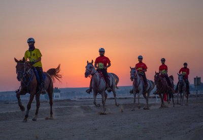 ناصر بن حمد: تأهيلي القدرة لترجمة استعدادات الفرسان والاسطبلات
